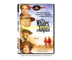 Le balene d'agosto (1987) diretto da Lindsay Ander