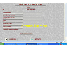 ALLEVAMENTO BOVINI SU PEN DRIVE O PER  EMAIL