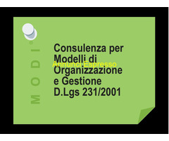 Consulente