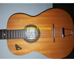 Chitarra Eko originale