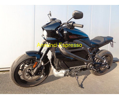 HARLEY-DAVIDSON Eritage ELW  LiveWire
