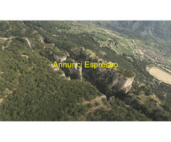 Terreno boschivo mq120000 Privato