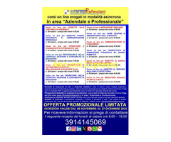 CorsoON LINE IN AREA AZIENDALE E PROFESSIONALE