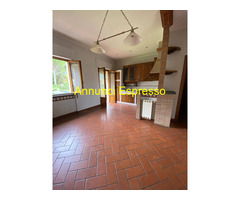 CAMAIORE CENTRO Affitto Appartamento 0 mq 