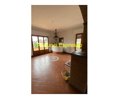 CAMAIORE CENTRO Affitto Appartamento 0 mq 