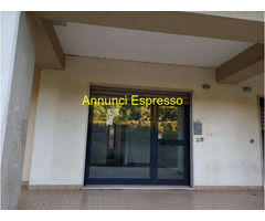 Affitto ufficio Via Pedicini 61  mq40 affitto Euro300