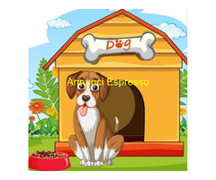 Il tuo Amico PET Sitter per PENSIONE CASALINGA Animali
