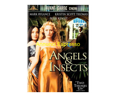 Angeli e insetti (1995) di Philip Haas