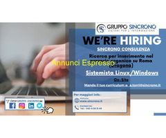 Gruppo Sincrono s.r.l. cerca Impiegato Sistemista Linux Windows nel settore Informatico con biennale