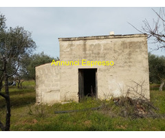 Affitto terreno coltivabile mq7500 Privato