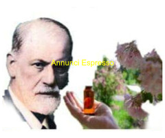 Counselor e floriterapeuta