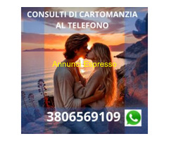 Successo Professionale con l\'Aiuto di Sandon