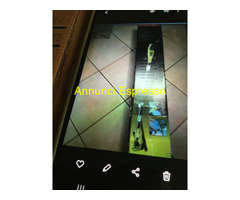 Vendo taglia rami manico lungo nuovo professionale