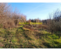 Vendo terreno agricolo in zona Montecalvoli PI