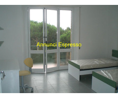 Posto letto instanza indipendente antiporto Camollia mq18 affitto Euro380