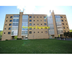 Affitto appartamento Confine mq90 numero localitre