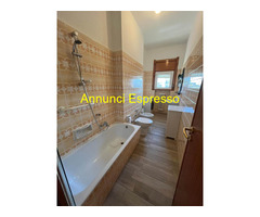 casale monferrato Affitto Appartamento 50 mq 