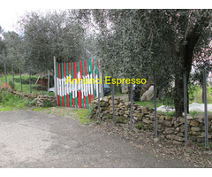 Terreno edificabile mq1070 Privato