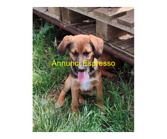 In regalo UNA MAMMA PER MILU
