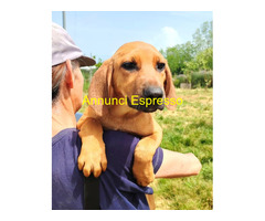 In regalo UNA MAMMA PER MAYA