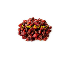 Bacche di rosa canina