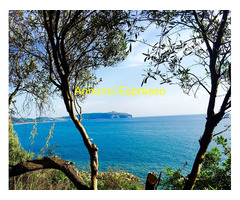 Affitto bilocale ideale pervacanza al mare mq25 numero localiuno