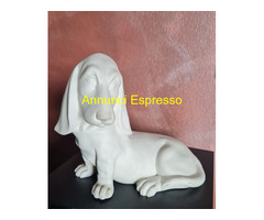 Cesare Villari   Basset  Hound cucciolo vintage  i