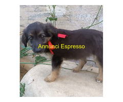 In regalo UNA MAMMA PER TITA