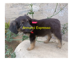 In regalo UNA MAMMA PER TITA