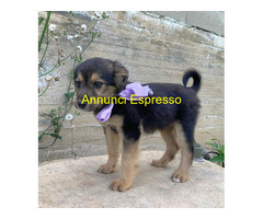 In regalo UNA MAMMA PER MELA