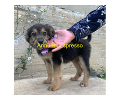 In regalo UNA MAMMA PER MELA