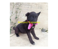 In regalo UNA MAMMA PER MORA