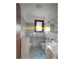 Posto letto instanza indipendente Bicocca - Greco mq25 affitto Euro550