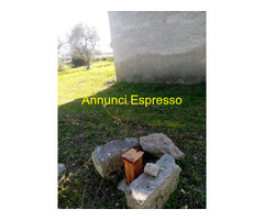 Affitto terreno edificabile mq8000 Privato