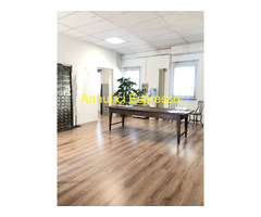 Affitto loft San Vitale mq230 numero locali> cinque