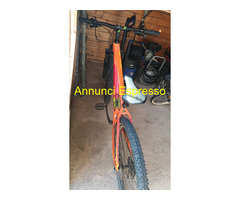 Bici professionale  cube