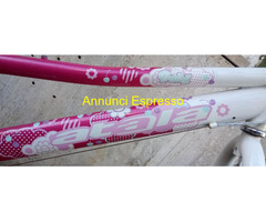 Bicicletta Atala 24\