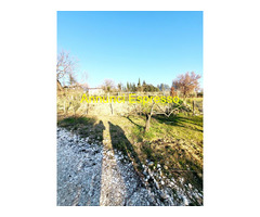OLIO EVO BORGUNTO