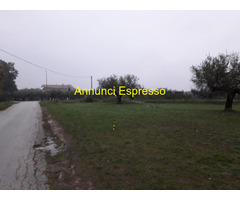 Terreno edificabile mq3635 Privato