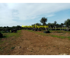 Affitto terreno edificabile mq8000 Privato