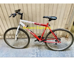 Bici Torpado anni 70