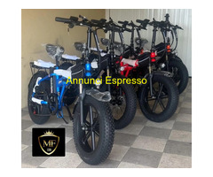 Fat Bike
