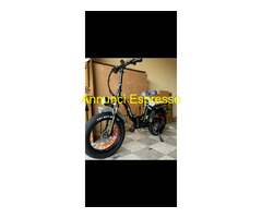 Bicicletta elettrica