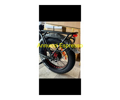 Bicicletta elettrica