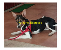 In regalo GEA ASPETTA UNA MAMMA