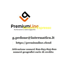 Consulti telefonici 899 e carte di credito