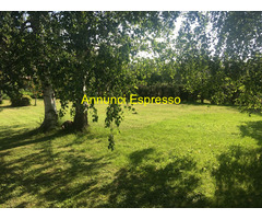 Affitto villa ideale pervacanza a contatto con la natura mq140 numero localiquattro