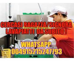 Paskal Job cerca  Ragazza Lavastoviglie nel settore Turismo con  esperienza