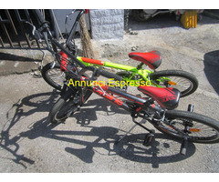 BICI-B.M.X FREESTYLE MIS 21 MARCA AURELIA (DUE)