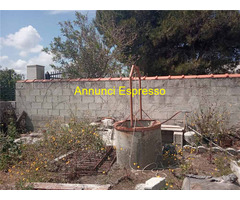  Vendita Villa/Casa singola 60 mq 